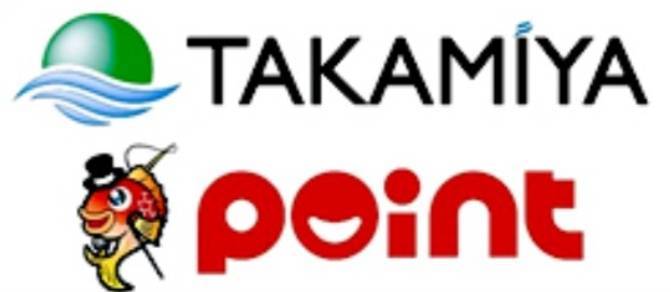ポイント